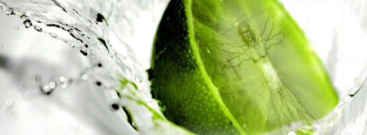 Institut für Präventionsmedizin und Gesundheitsförderung Forschung Sekundäre Pflanzenstoffe